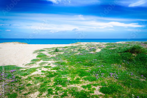 Beautiful Fiume Santo beach on a sunny day