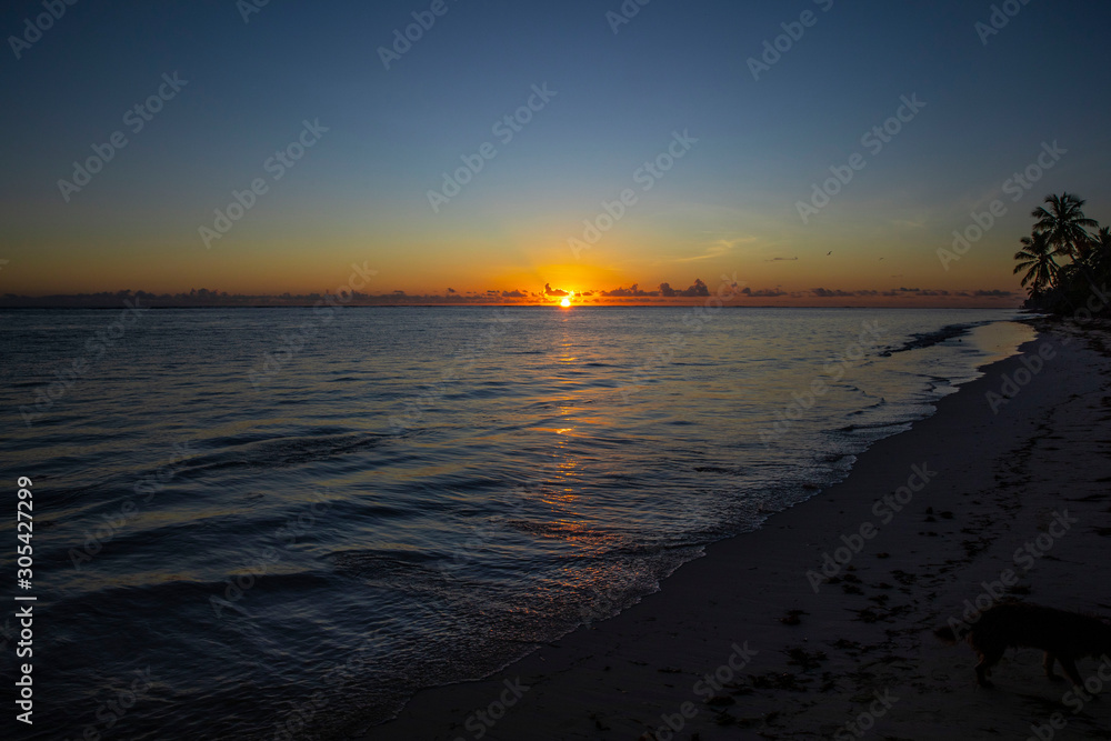 Punta Cana Punta Cana