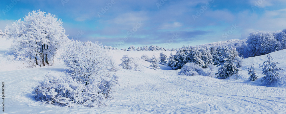 Christmas winter landscape. Snow on the Ai-Petri. Crimea