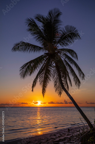 Punta Cana 