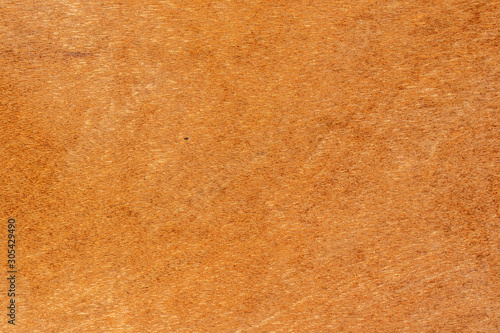 Wallpaper Mural texture of paper Torontodigital.ca