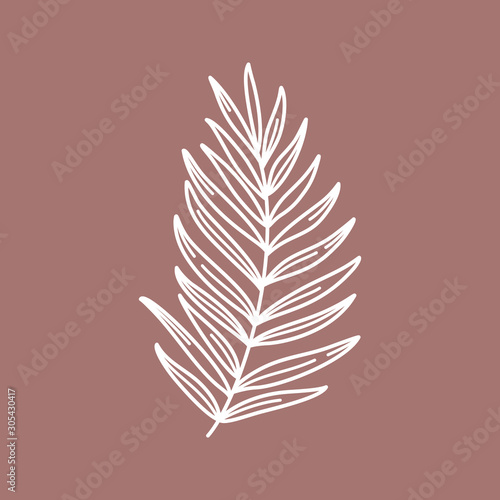 Branch with leaves of tropical plants. Outline Palm leaf In a Modern Minimalist Style. Vector Illustration.