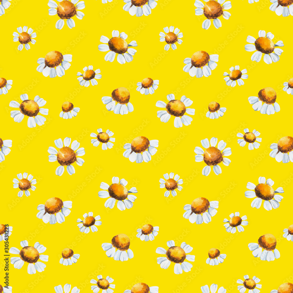 Watercolor seamless pattern with chamomile, camomile, daisy on an isolated white background, botanical drawing. Stock illustration. Fabric wallpaper print texture. Watercolor seamless pattern with chamomile, camomile, daisy on an isolated white background, botanical drawing. Stock illustration. Fabric wallpaper print texture.