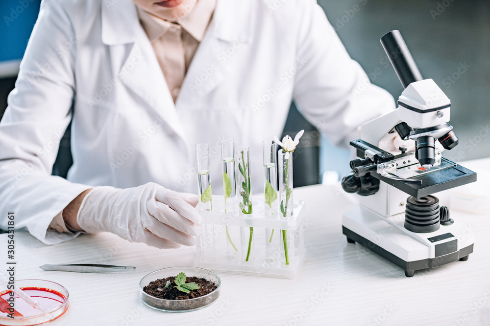 cropped view of biochemist near green plants and flower in test tubes cropped view of biochemist near green plants and flower in test tubes