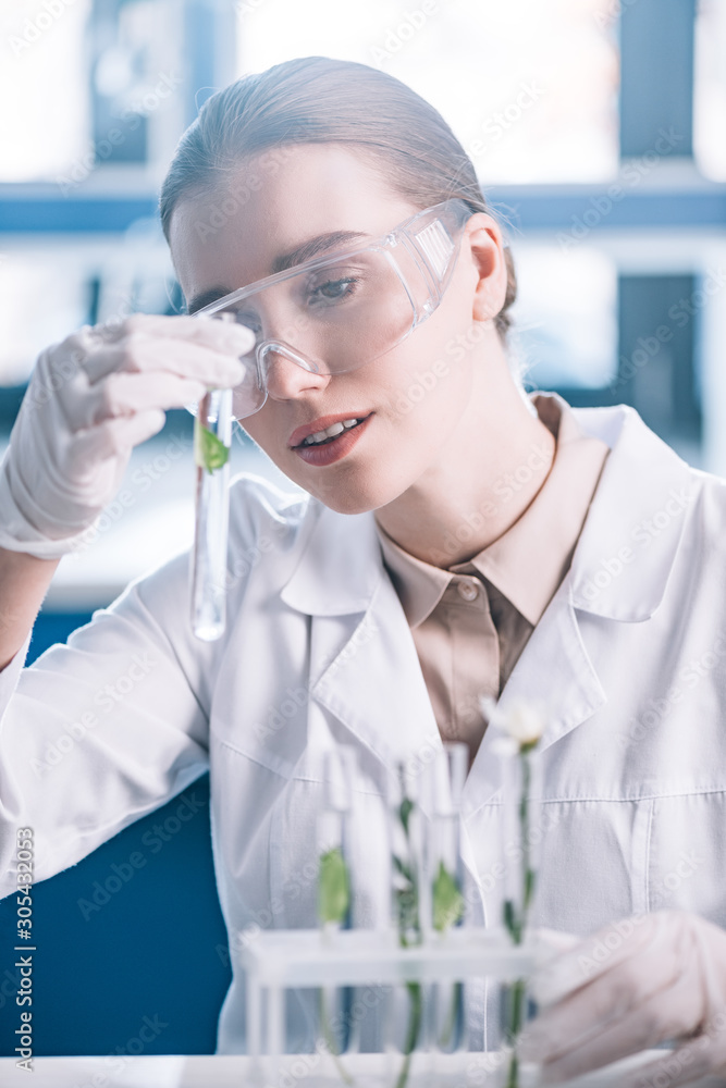 selective focus of attractive biochemist in goggles holding test tube with green plant selective focus of attractive biochemist in goggles holding test tube with green plant