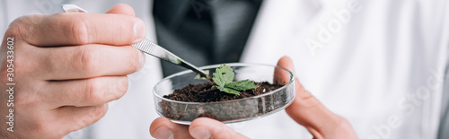 panoramic shot of biochemist holding glass sample with ground and small plant