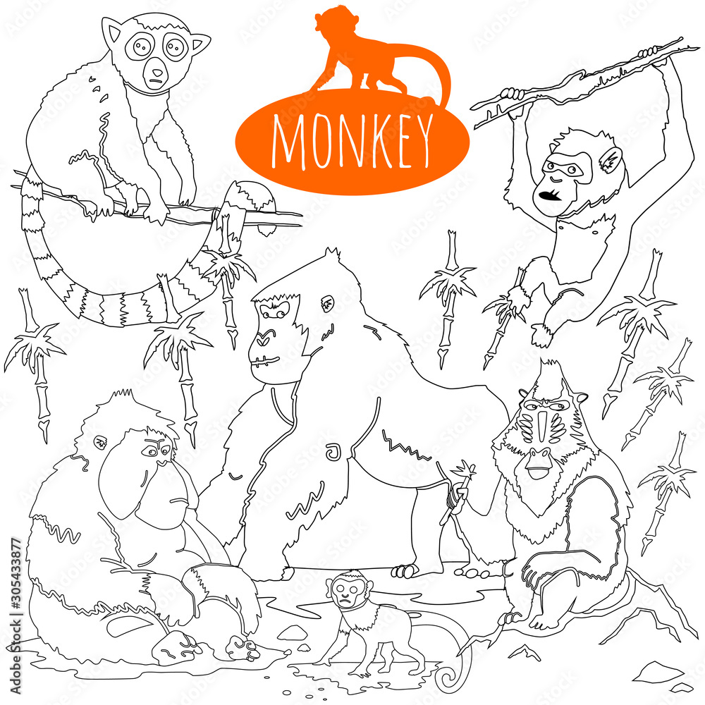Coloring book page monkey in the jungle. Vector illustration on a white background.