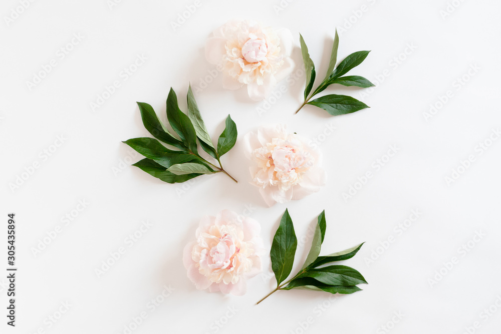 Floral composition with pink peonies and green leaves