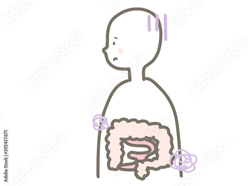 人体の腸