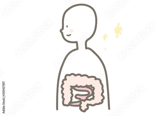 人体の腸