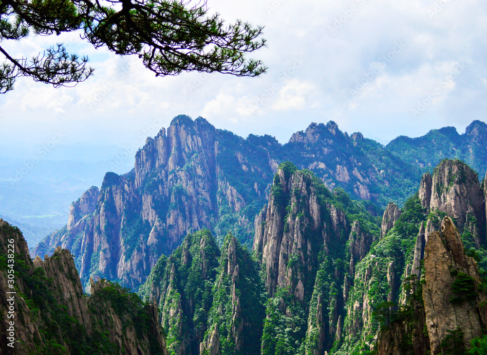 Pine Trees and Peaks of Huangshan (Yellow Mountain) at Anhui province China. Huangshan is a UNESCO World Heritage Site and one of China's major tourist destinations.