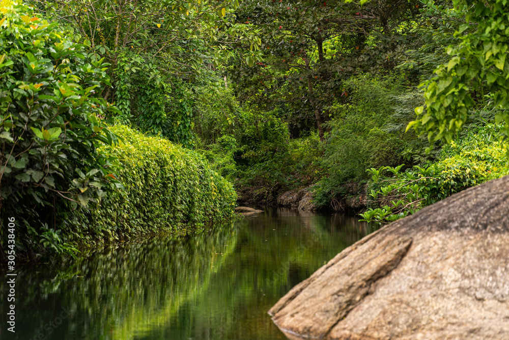 Obraz premium Nature, river in the middle of the forest in Thailand