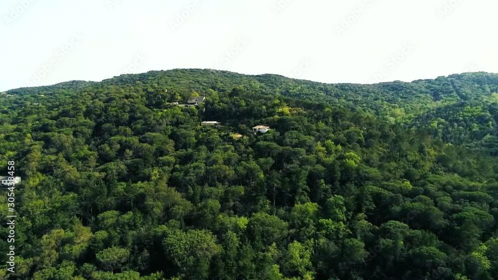 Over the forest in Canyamars, Catalonia, Sapin Over the forest in Canyamars, Catalonia, Sapin