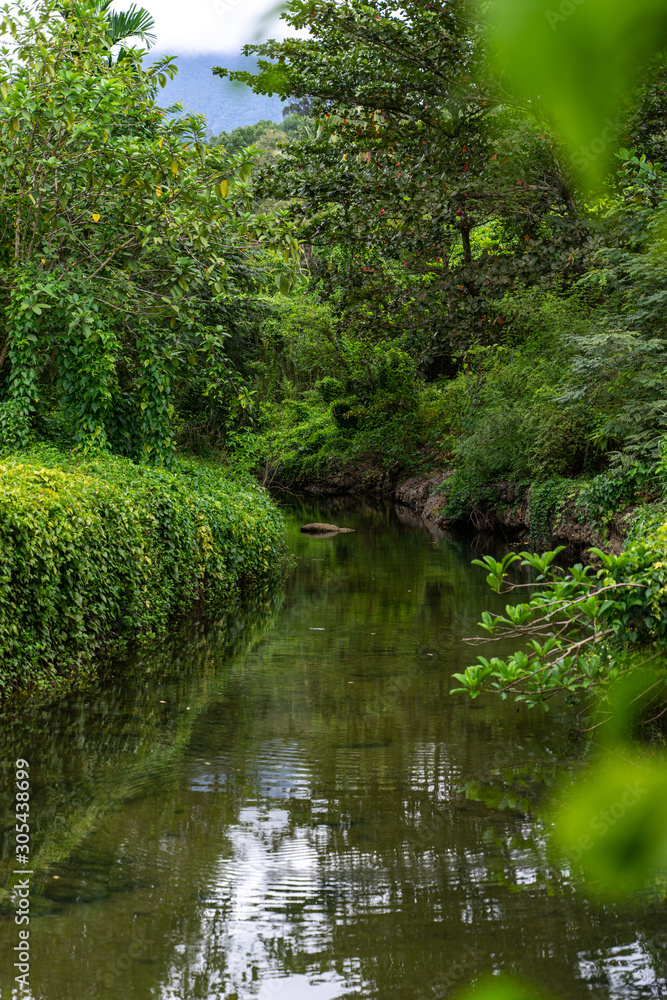Nature, river in the middle of the forest in Thailand Nature, river in the middle of the forest in Thailand