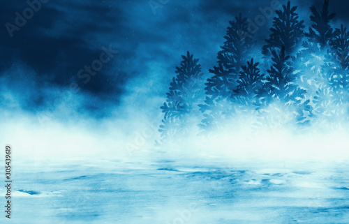 Background of dark night winter forest. Moonlight in the night forest