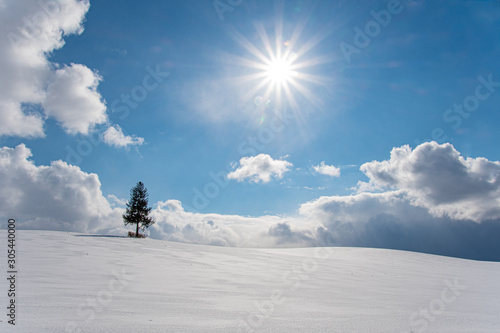 美瑛の冬の丘 © 大西 親文
