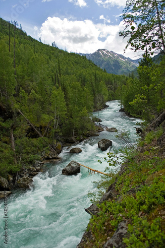 Mountain river with a lot of river rapids surrounded by forests. The protected river Yoldo is a tributary of the Kuragan River  places almost unhurt by people  tourists. Katun Biosphere Reserve. Altai