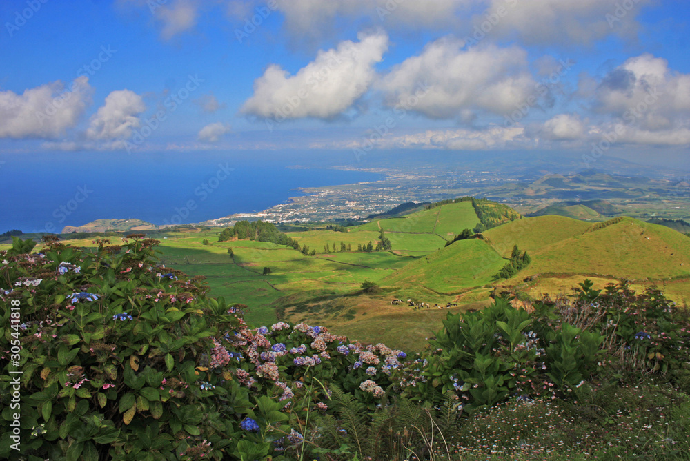 Green view on Azores Portugal