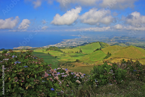 Obraz na płótnie Green view on Azores Portugal w salonie