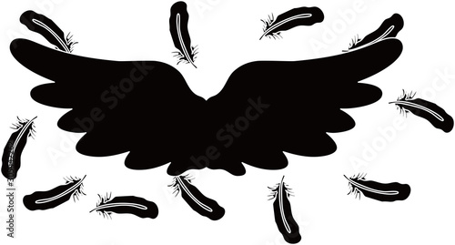 BLACK Angel wings of feathers fluttering