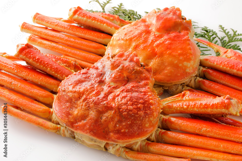 ずわいがに　Snow crab