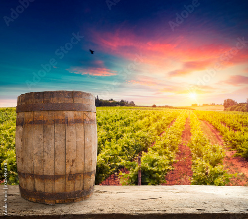 Red wine with barrel on vineyard in green Tuscany, Italy