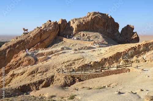 Oasis in the Sahara desert next to the ruined settlement, Chebika, Tunisia. 