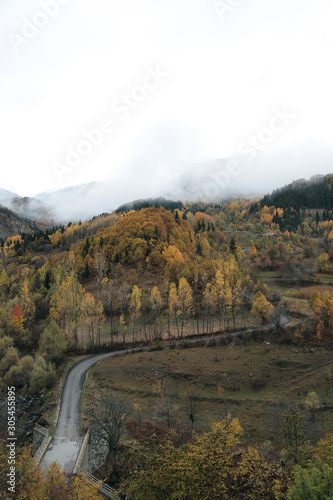 Beautiful orange and red autumn forest, many trees on the orange hills, Artvin
