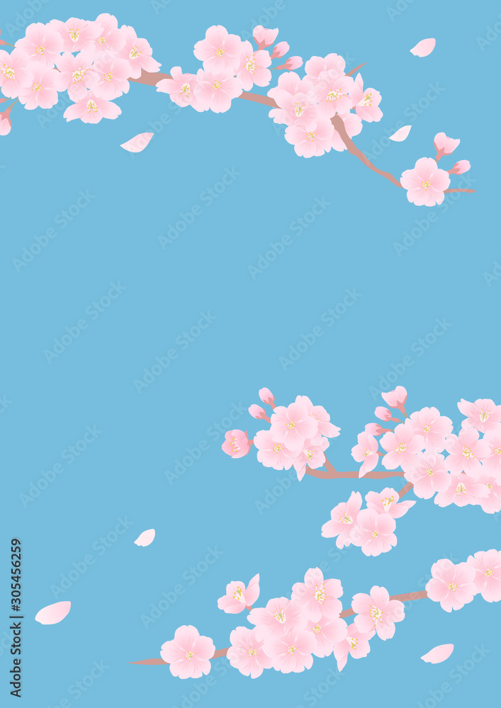 桜の背景素材 桜の背景素材