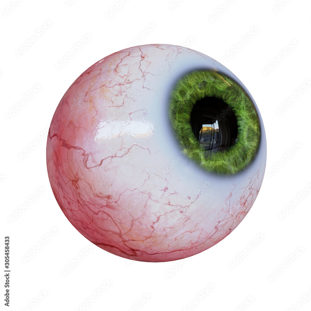 human eyeball with green iris looking up, isolated on white background