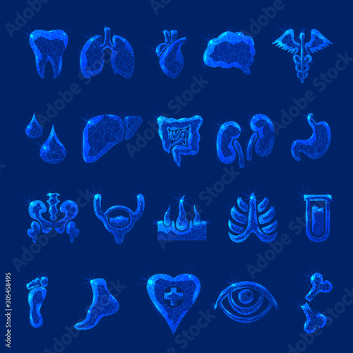Set of medical human organs icons geometric lines, low poly style wireframe vector. Isolated medicine science technology concept.
