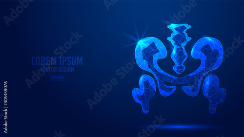 Pelvic bone geometric lines, low poly style wireframe vector banner template. Isolated medicine science technology concept blue background polygonal.