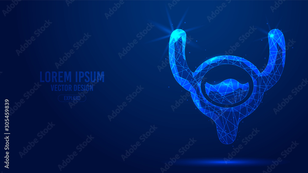 Human bladder construction geometric lines, low poly style wireframe ...