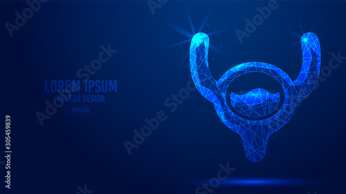 Human bladder construction geometric lines, low poly style wireframe vector banner template. Isolated medicine science technology concept blue background.