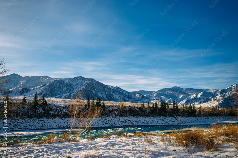Unfrozen turquoise Katun river in Altai mountains on a frosty winter day. Incredible mountain valley landscape in sunlight.