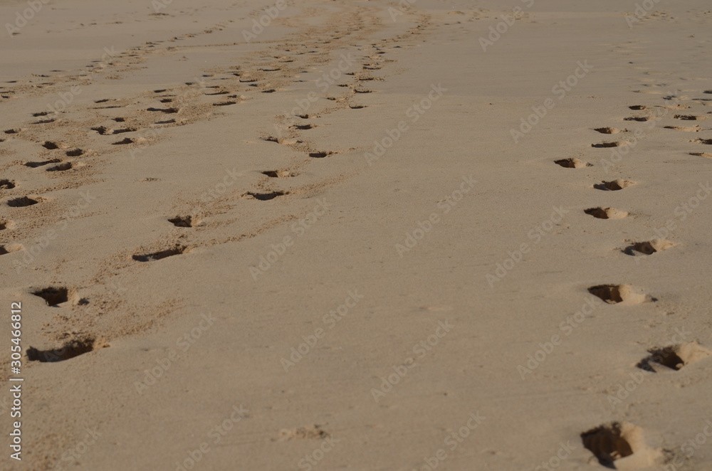 Texture background Footprints of human feet on the sand on the beach Texture background Footprints of human feet on the sand on the beach