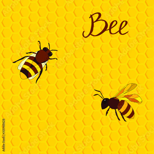 Honeycombs and bees