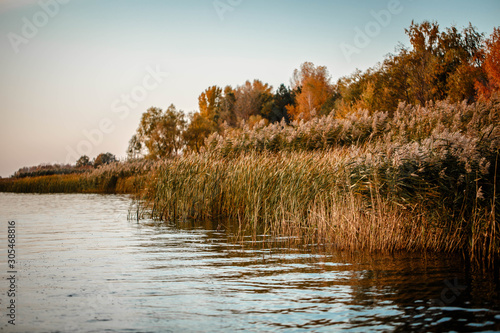 Lake with reeds at sunset photo