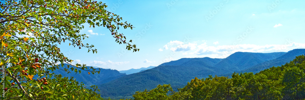 Green mountains and blue sky. Beautiful summer landscape with multilayered hills and forest. Rosehip branches in the foreground. Horizontal photo. Main Caucasian ridge, Adygea.