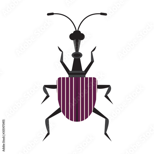 Giraffe Weevil Bug Icon in Flat Design photo