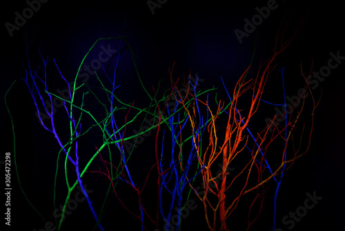 Neon Glow Acrylic UV Blacklight Paint on tree branch, reflective glow in the dark background. Luminous paint abstract background.