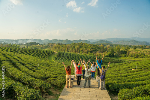 Group of fellow backpackers come to stand in the tea plantations on the hills and admire the organic tea plantations. S