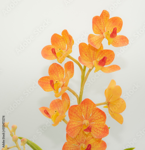 Fototapeta Naklejka Na Ścianę i Meble -  orange flowers isolated on white background