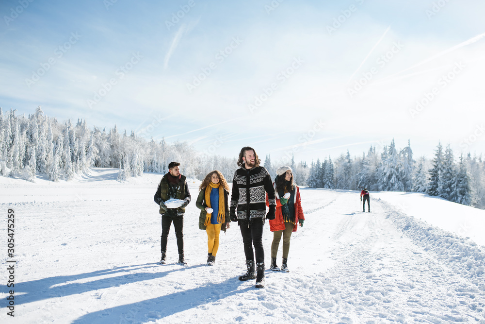 A group of young friends on a walk outdoors in snow in winter forest.