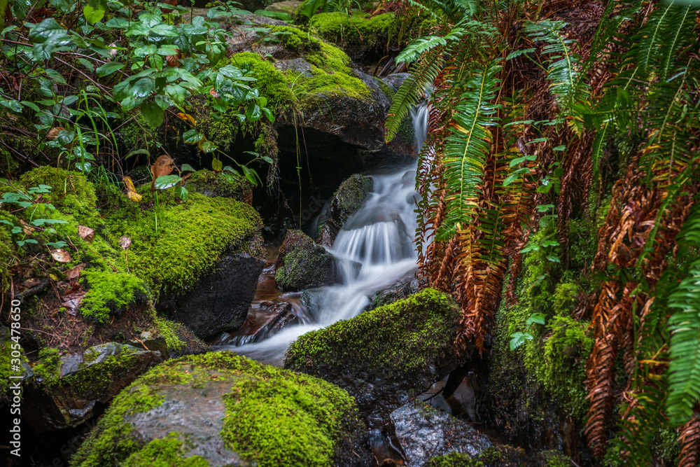 Small mountain creek in Vancouver, Canada. Long exposure water flow.