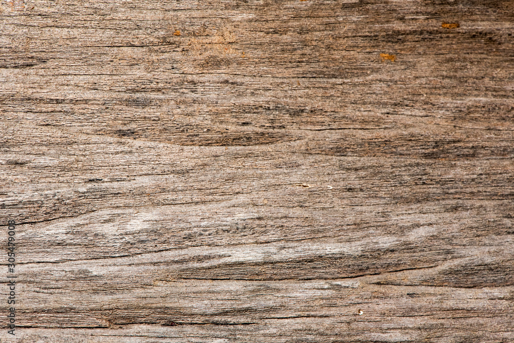 Naklejka premium Natural old wood texture background.