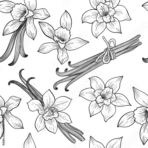 Vanilla flowers. Vector seamless pattern. Vintage style