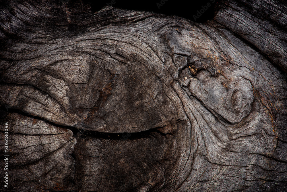 Fototapeta premium Natural old wood texture background.