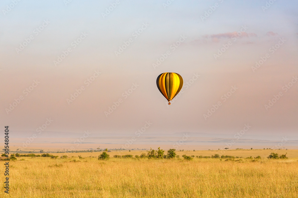 Obraz premium Hot air balloon flying over the African savanna in morning light