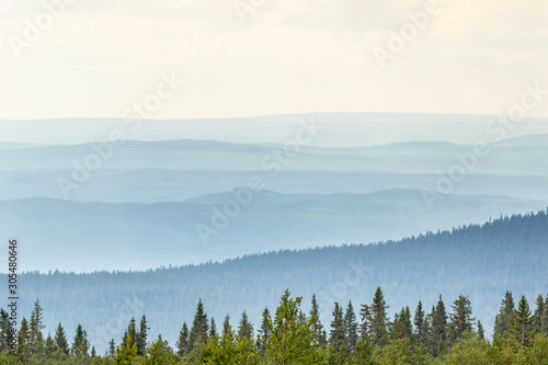 Rolling landscape view with shadings in the woods